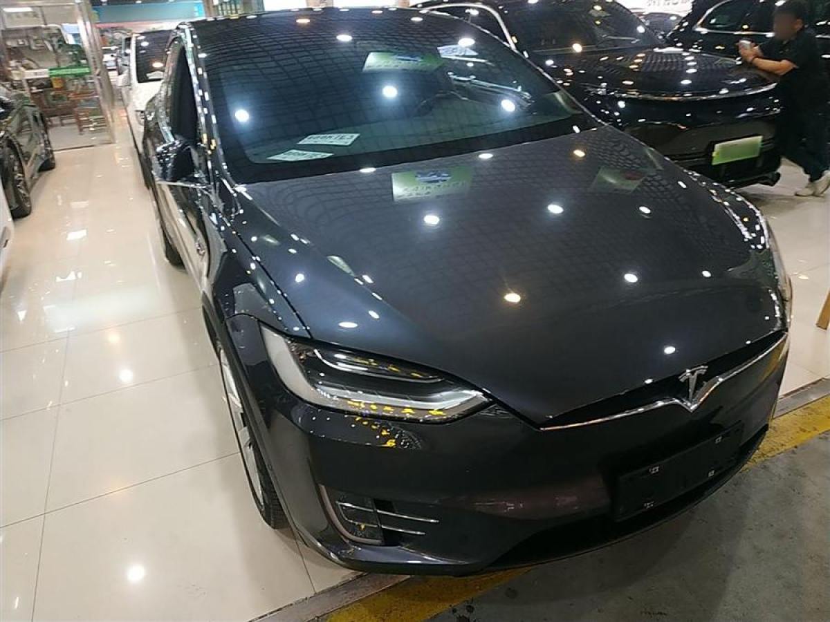 特斯拉 Model X  2017款 Model X 100D 長(zhǎng)續(xù)航版圖片