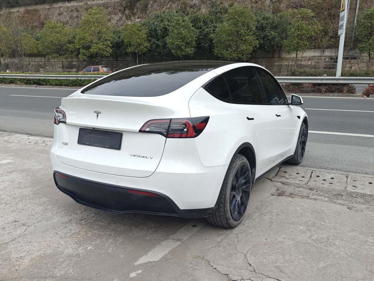 特斯拉 Model Y  2022款 長(zhǎng)續(xù)航全輪驅(qū)動(dòng)版圖片