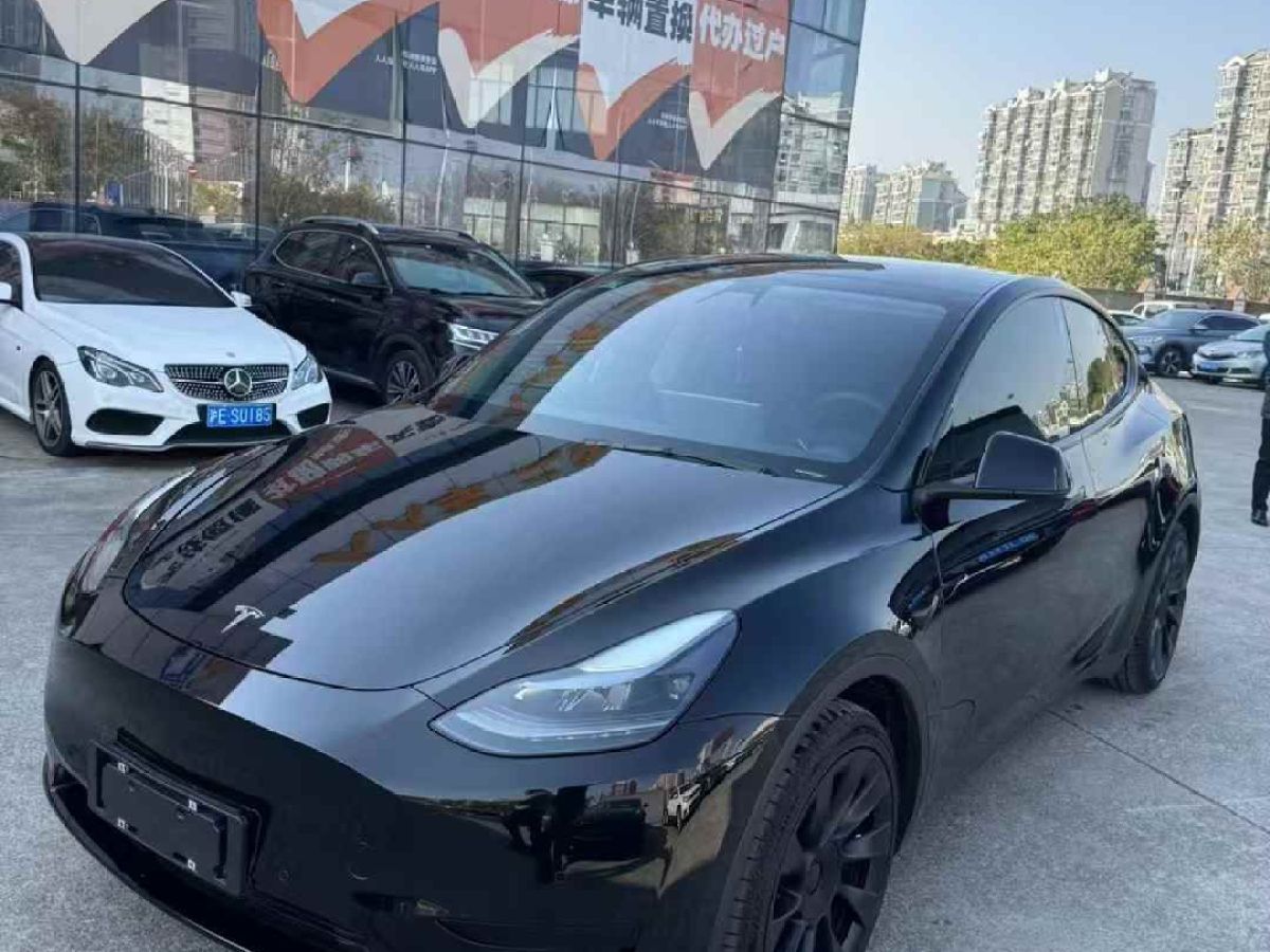 特斯拉 Model 3  2022款 Performance高性能全輪驅(qū)動(dòng)版圖片