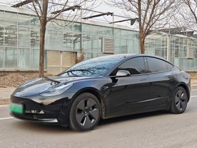 2021年3月 特斯拉 Model 3 標(biāo)準(zhǔn)續(xù)航后驅(qū)升級版圖片