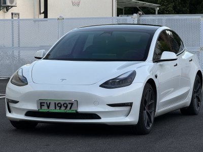 2022年6月 特斯拉 Model 3 Performance高性能全輪驅(qū)動版圖片