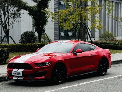 2017年6月 福特 Mustang(進(jìn)口) 2.3T 運(yùn)動(dòng)版圖片