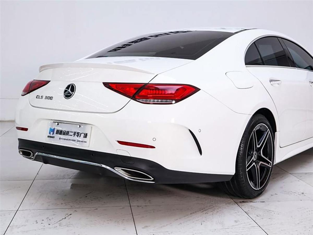 奔馳 奔馳CLS級(jí)  2021款 改款 CLS 300 豪華型圖片