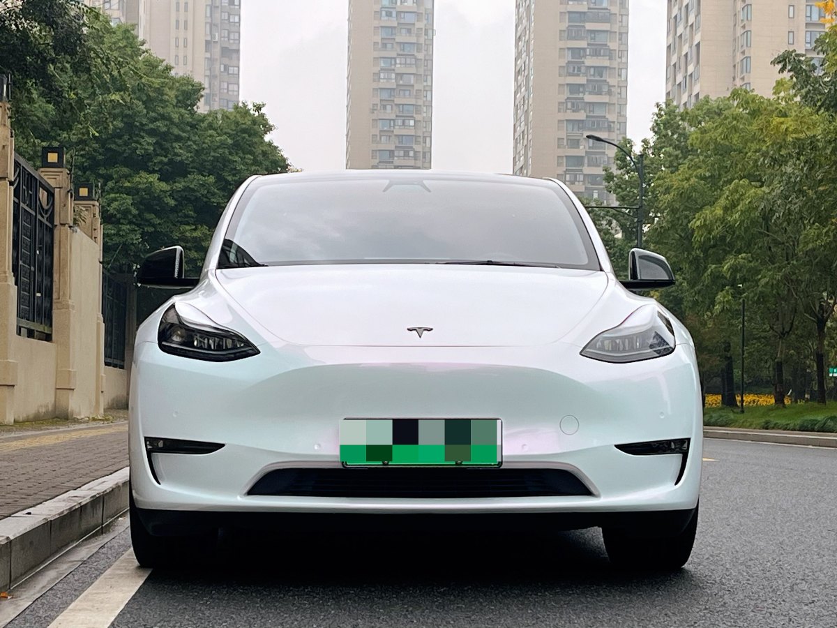 特斯拉 Model 3  2022款 Performance高性能全輪驅(qū)動版圖片