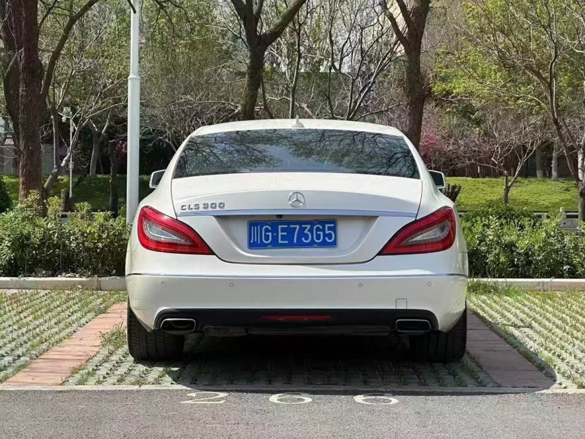 奔馳 奔馳CLS級(jí)  2012款 CLS 300 CGI圖片