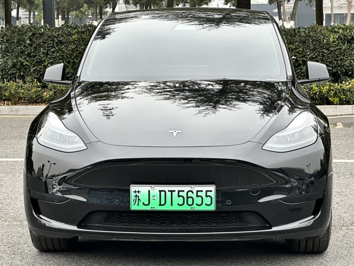 特斯拉 Model Y  2023款 后輪驅動版圖片