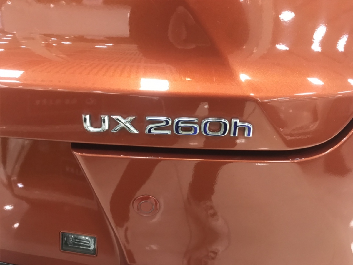 雷克薩斯 UX  2020款 260h 探?酷版圖片