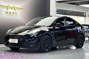 Model Y 特斯拉 长续航焕新版 双电机全轮驱动