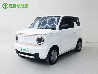 2024年3月 吉利 熊貓mini 200km 耐力熊圖片