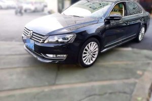 帕薩特 大眾 2.0TSI DSG至尊版