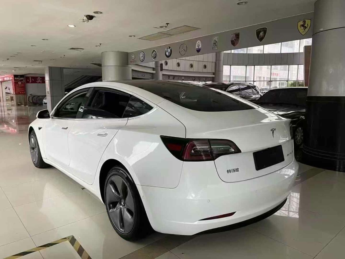 特斯拉 Model 3  2020款 標(biāo)準(zhǔn)續(xù)航后驅(qū)升級版圖片