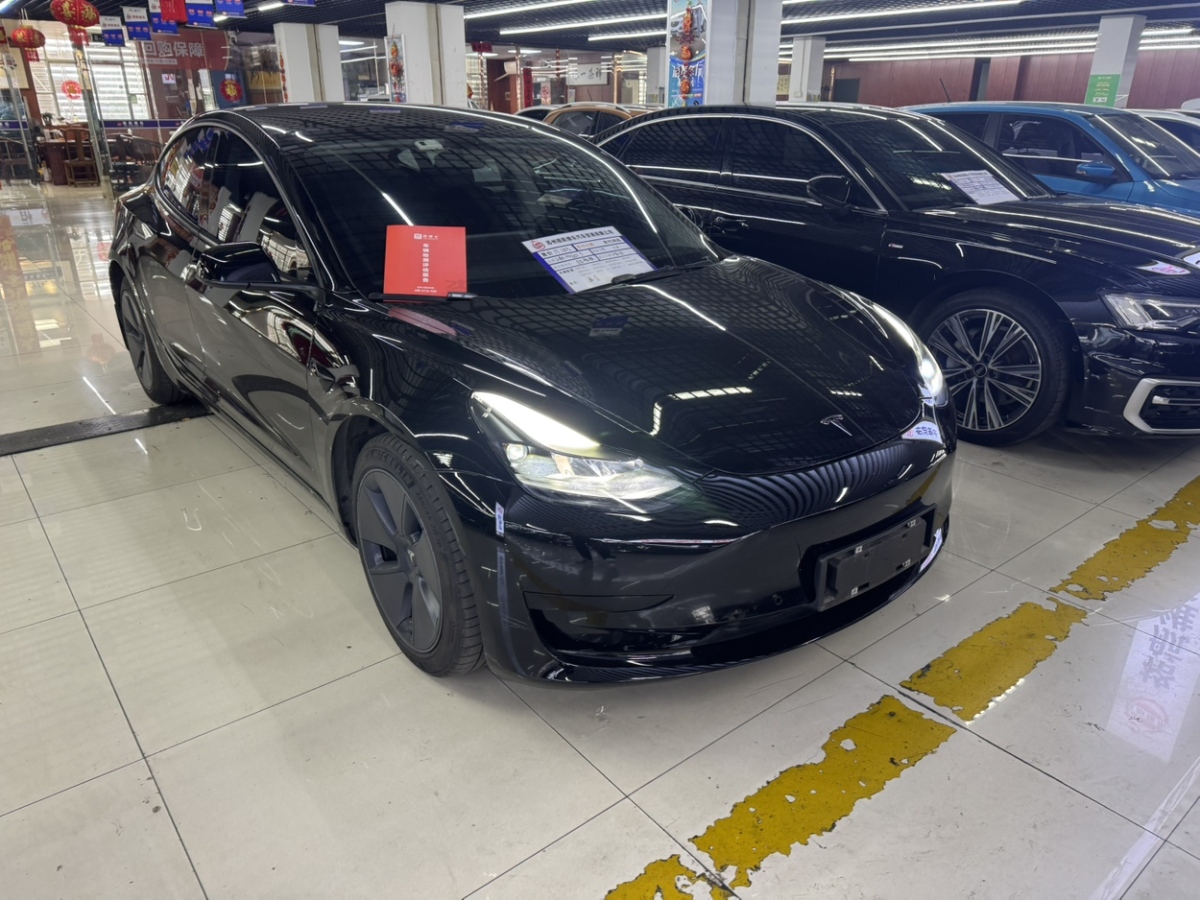 特斯拉 Model 3  2021款 標(biāo)準(zhǔn)續(xù)航后驅(qū)升級(jí)版 3D6圖片