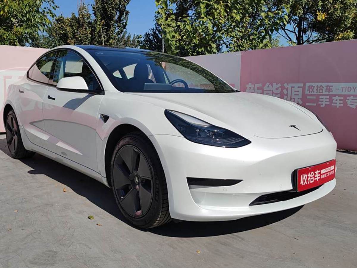 特斯拉 Model 3  2019款 標準續(xù)航后驅升級版圖片