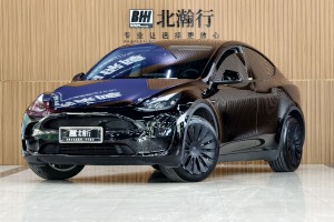 Model Y 特斯拉 改款 后輪驅(qū)動(dòng)版