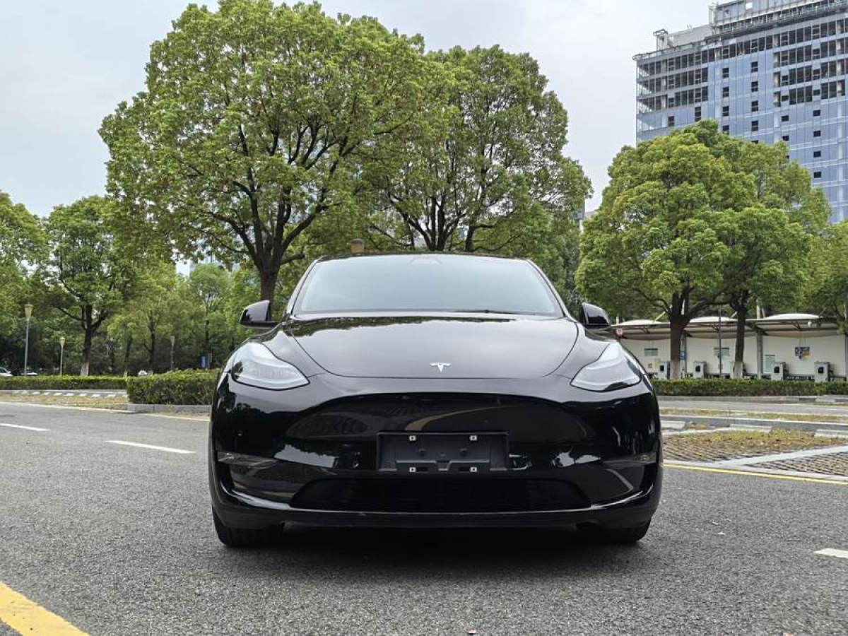 特斯拉 Model Y  2022款 Performance高性能全輪驅(qū)動版圖片