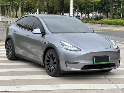 2025年4月 特斯拉 Model Y Performance高性能版圖片