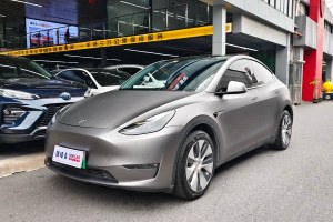 Model Y 特斯拉 長續(xù)航全輪驅(qū)動(dòng)版 3D7