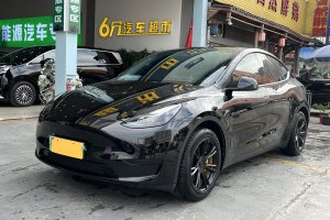 Model 3 特斯拉 改款 長續(xù)航后輪驅(qū)動版