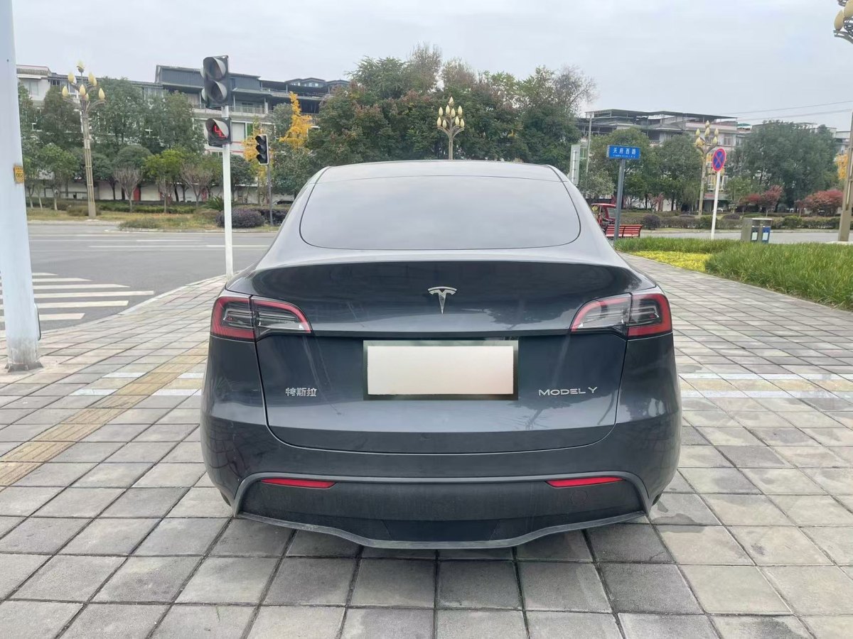 特斯拉 Model 3  2023款 煥新版 后輪驅(qū)動圖片