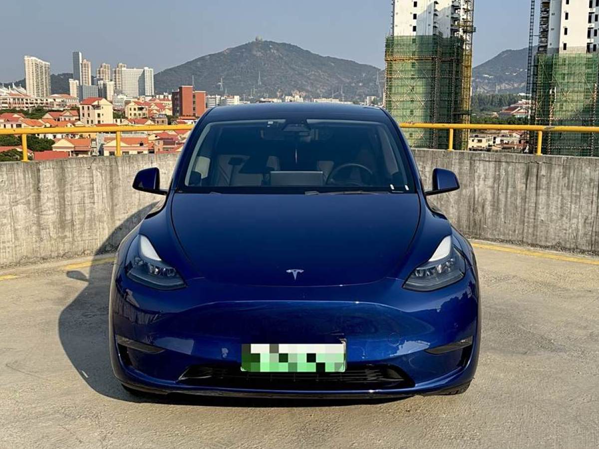 特斯拉 Model Y  2021款 改款 長(zhǎng)續(xù)航全輪驅(qū)動(dòng)版圖片