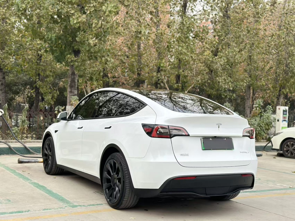 特斯拉 Model 3  2021款 改款 標準續(xù)航后驅升級版圖片