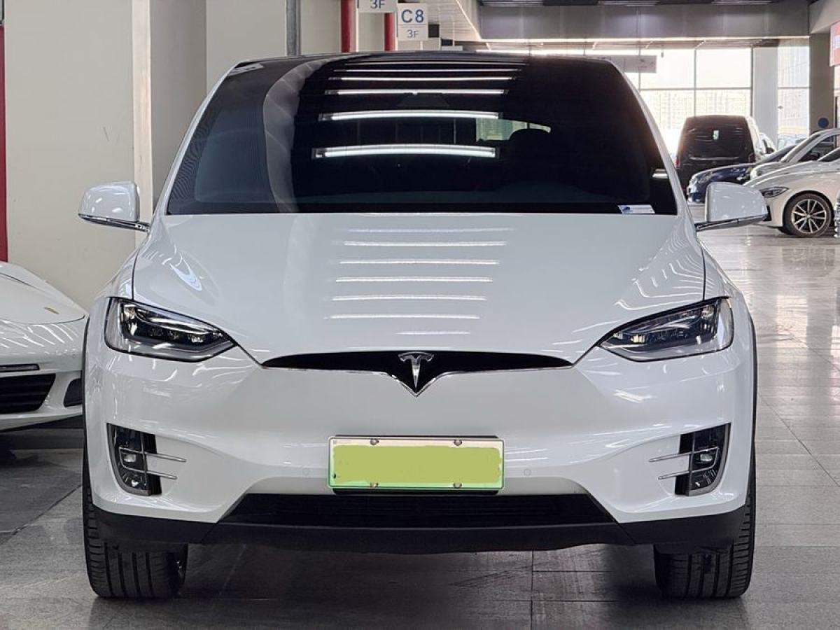 特斯拉 Model X  2019款 長續(xù)航版圖片