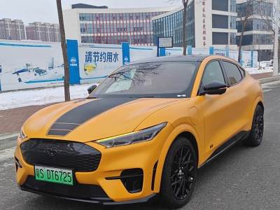 2024年2月 福特 Mustang Mach-E(进口) GT风暴版图片