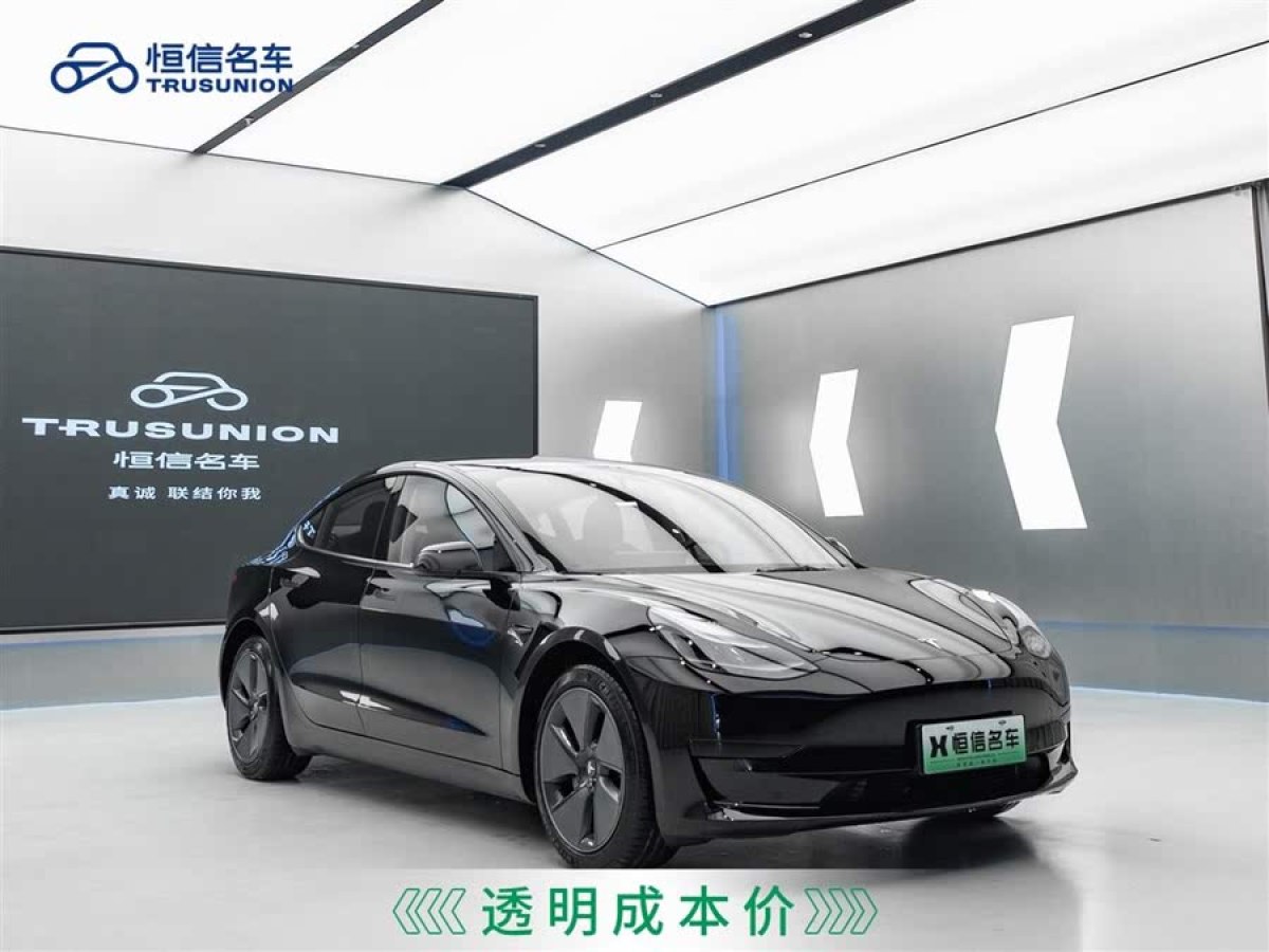 特斯拉 Model 3  2022款 后輪驅(qū)動(dòng)版圖片