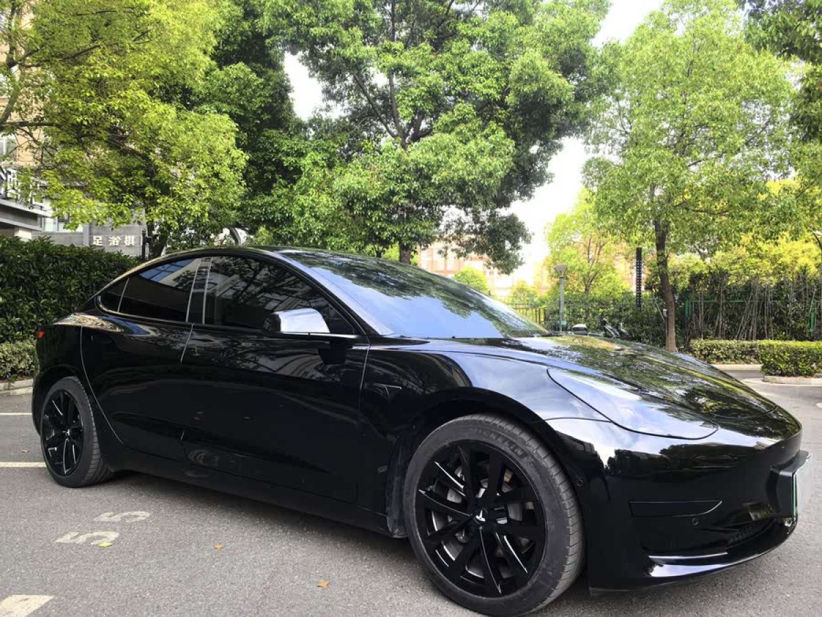特斯拉 Model 3  2023款 煥新版 后輪驅(qū)動圖片