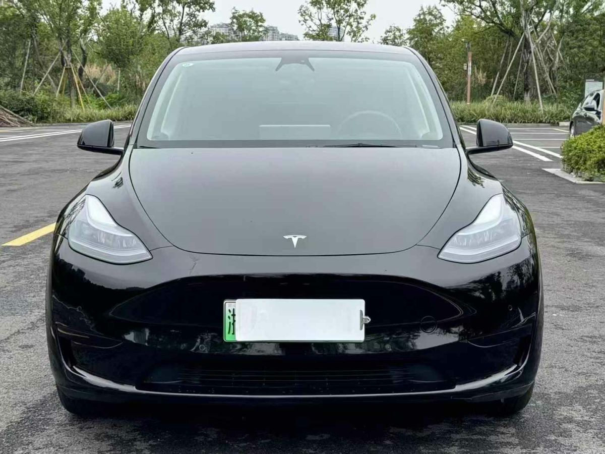 特斯拉 Model Y  2024款 Performance高性能版圖片