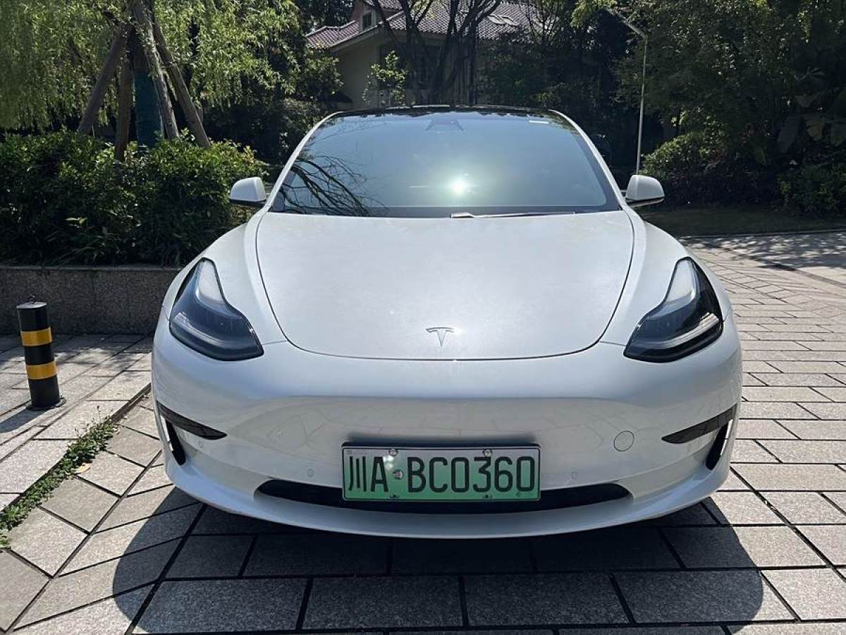 特斯拉 Model 3  2021款 改款 標準續(xù)航后驅(qū)升級版圖片