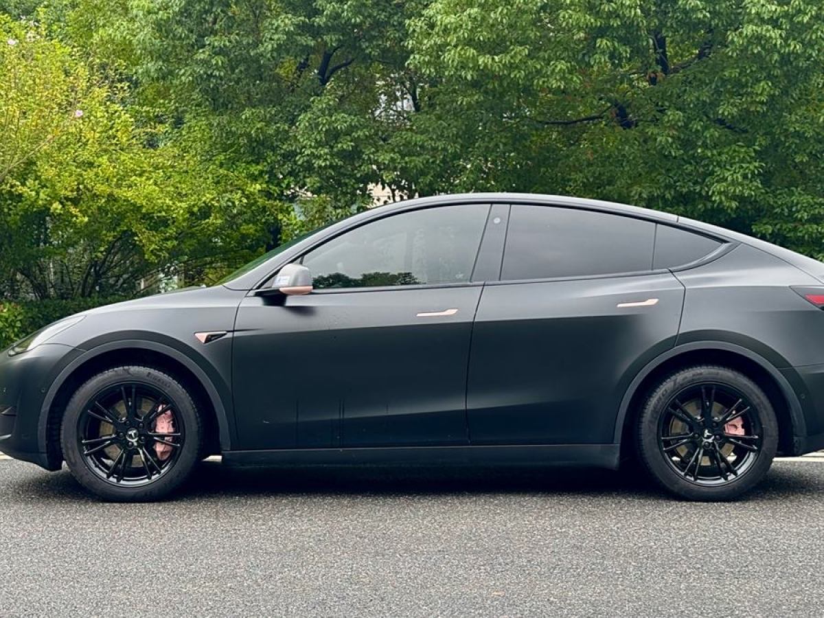 特斯拉 Model Y  2020款 改款 長續(xù)航后輪驅(qū)動版圖片