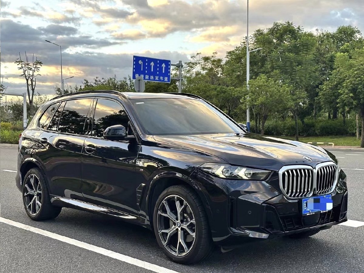 寶馬 寶馬X5  2023款 xDrive 30Li 尊享型M運(yùn)動(dòng)曜夜套裝圖片