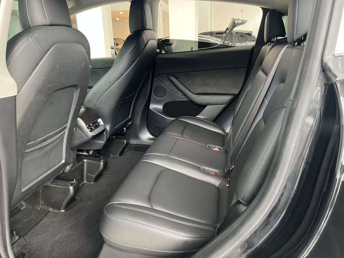 特斯拉 Model Y  2021款 標(biāo)準(zhǔn)續(xù)航后驅(qū)版圖片