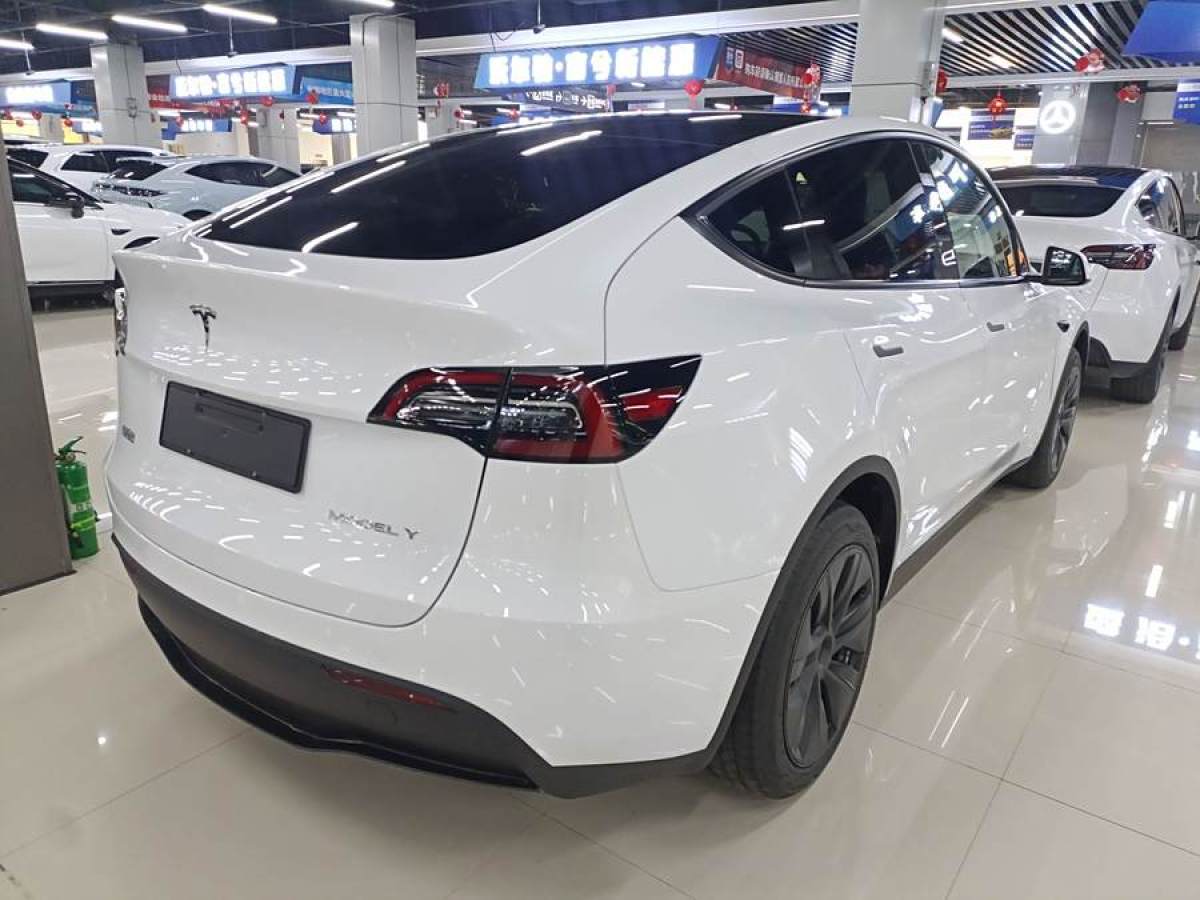 特斯拉 Model 3  2020款 改款 長(zhǎng)續(xù)航后輪驅(qū)動(dòng)版圖片