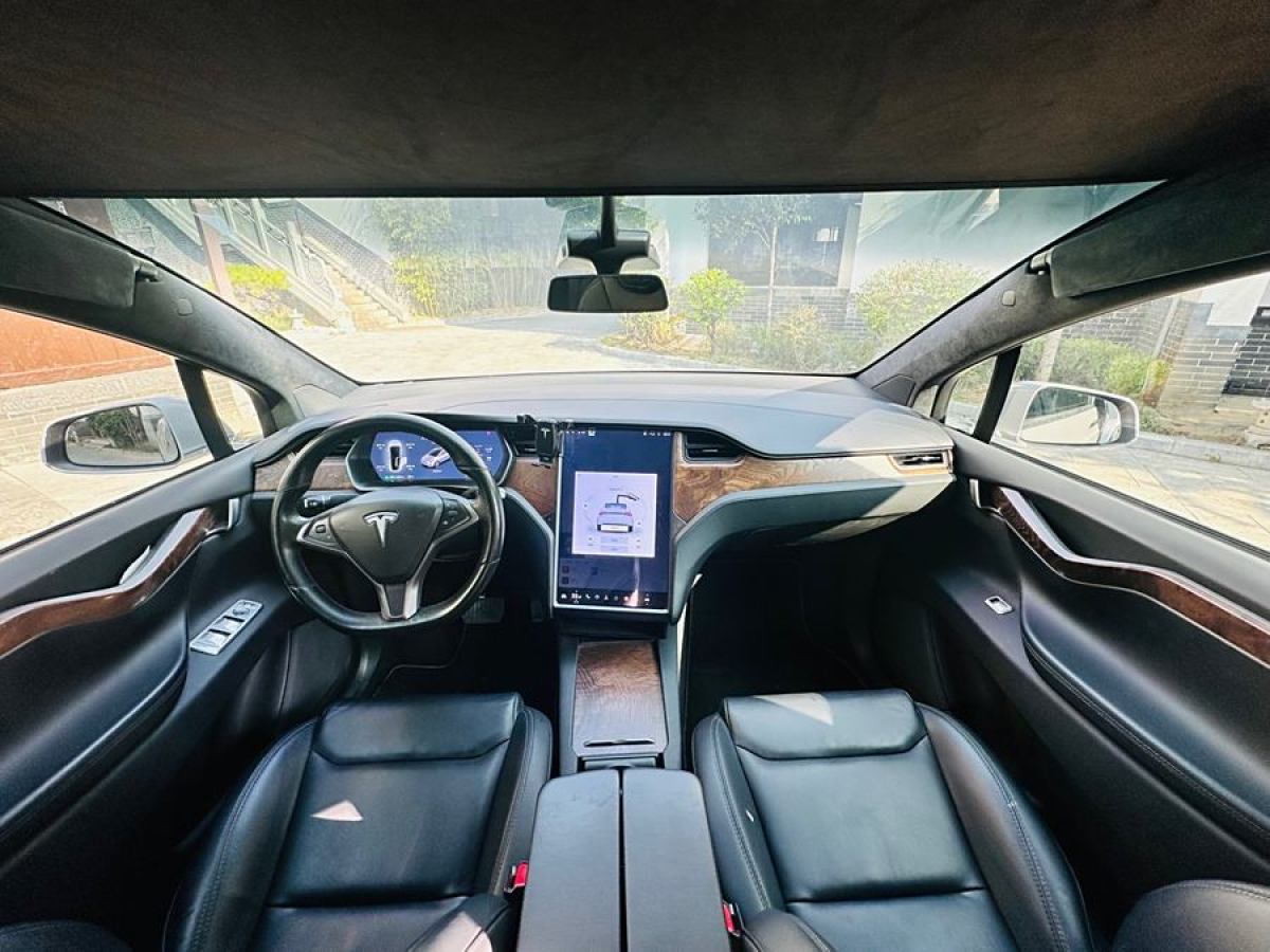 特斯拉 Model X  2019款 長續(xù)航版圖片