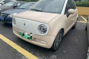 歐拉黑貓 歐拉 2021款 301km 基礎(chǔ)型