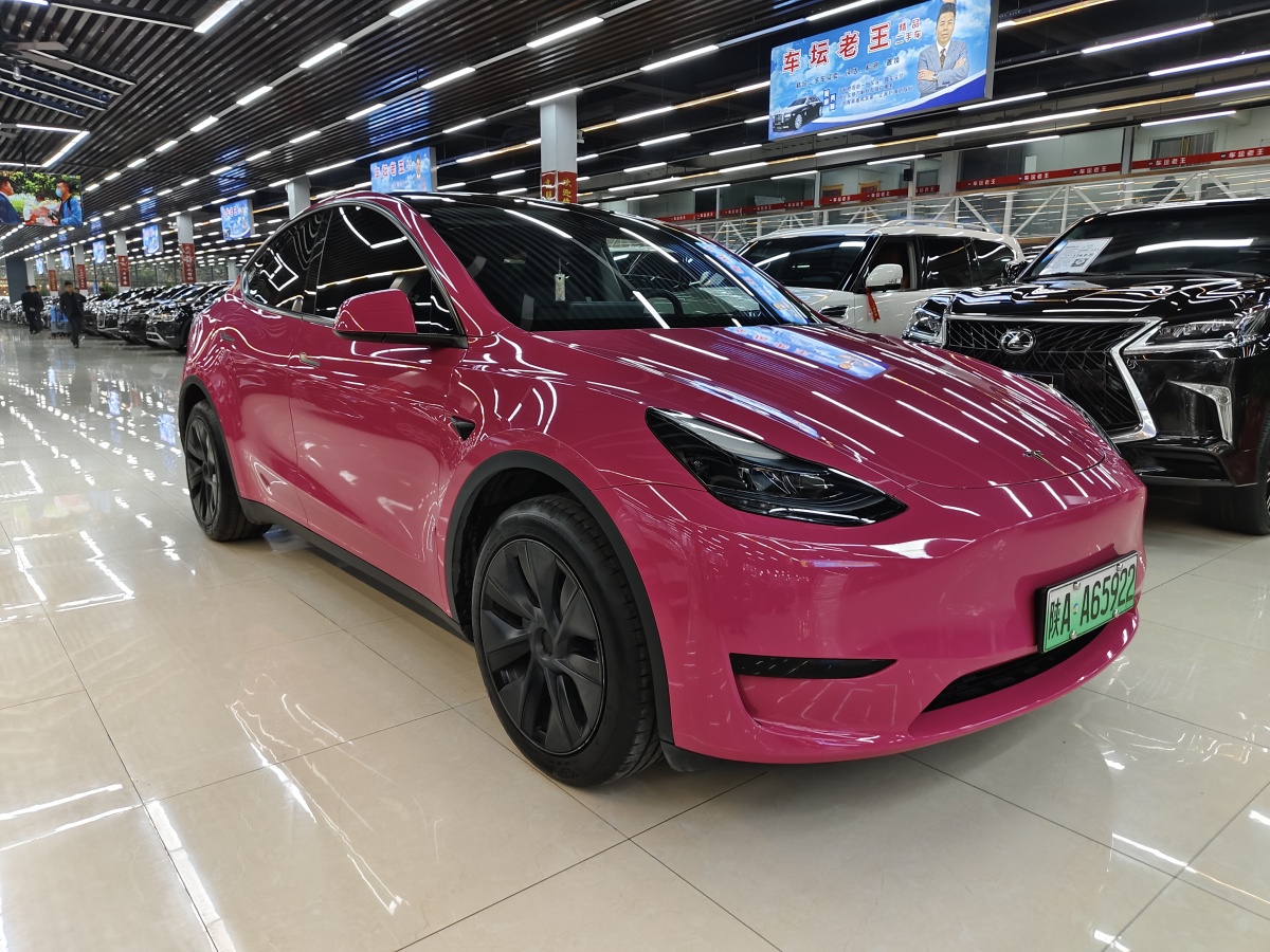 特斯拉 Model Y  2020款 改款 長續(xù)航后輪驅(qū)動版圖片