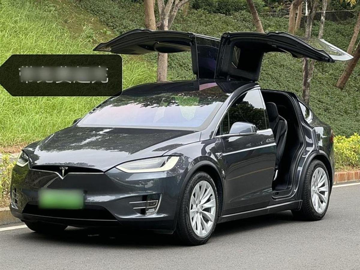 特斯拉 Model X  2017款 Model X 100D 長(zhǎng)續(xù)航版圖片