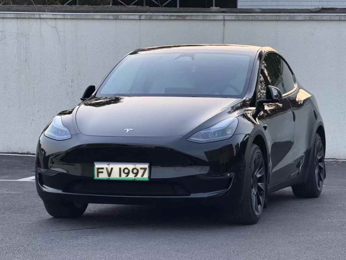 2024年4月特斯拉 Model Y  2024款 Performance高性能版