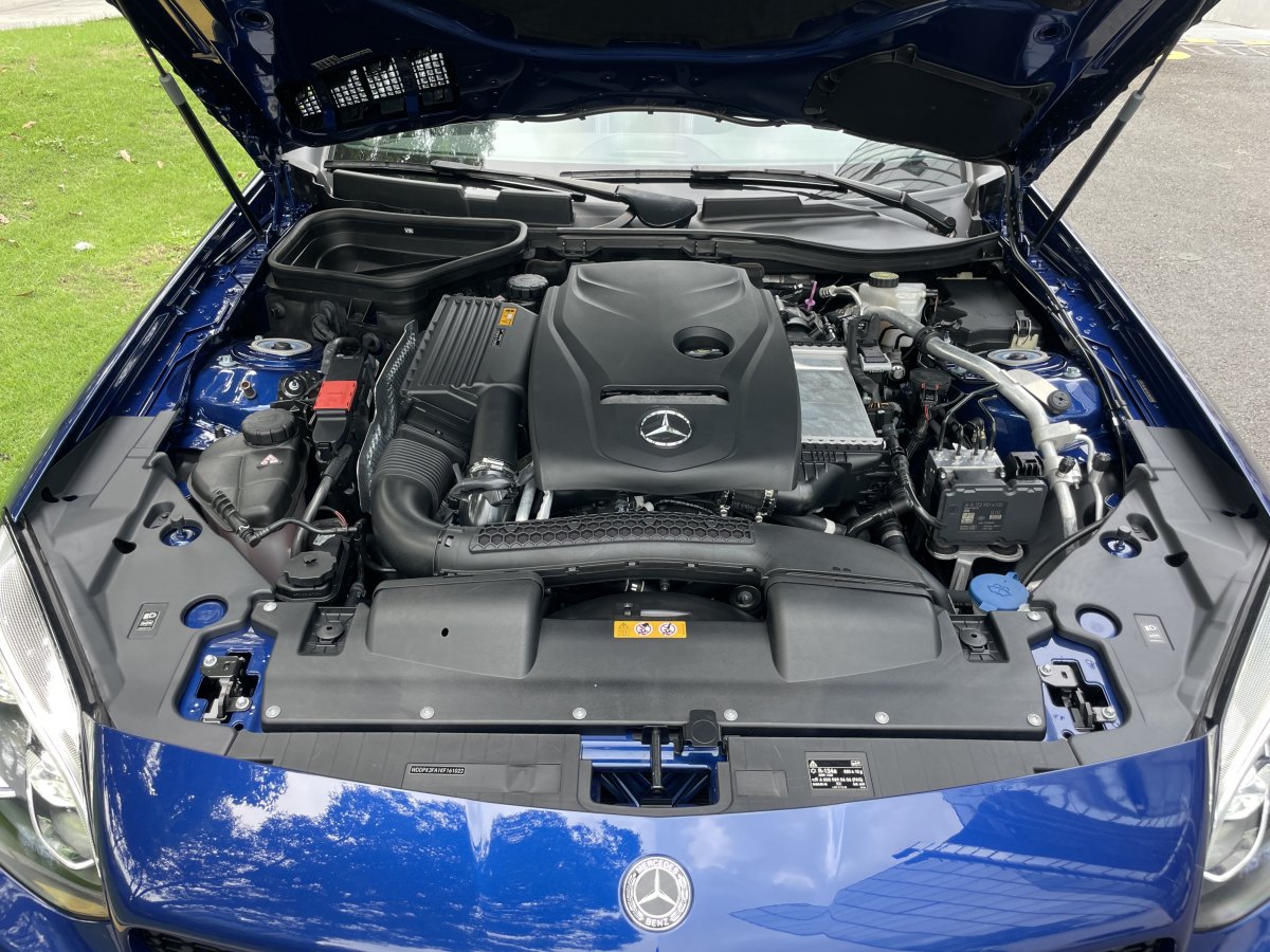 2019年5月奔驰 奔驰SLC级  2018款 SLC 260 动感型