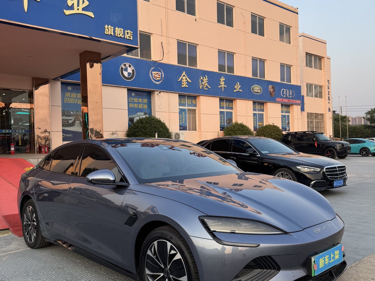 比亞迪 海豹  2022款 550km 標準續(xù)航后驅版尊貴型圖片
