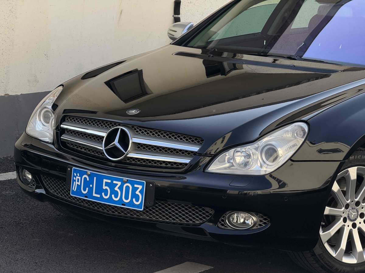 奔馳 奔馳CLS級(jí)  2009款 CLS 300圖片