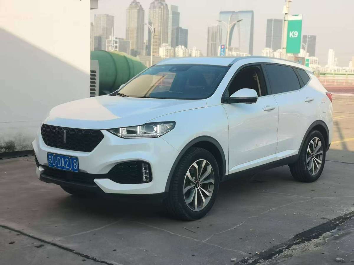 WEY VV6  2019款  2.0T 兩驅超豪型 國VI圖片