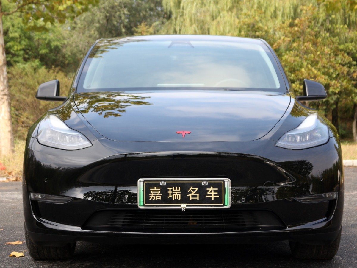 特斯拉 Model Y 高性能全輪驅(qū)動版圖片