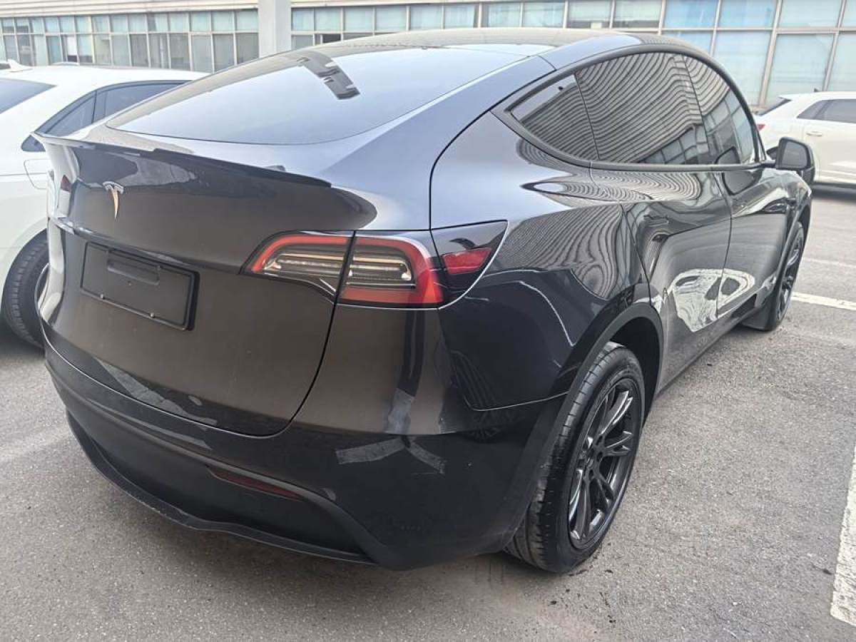 特斯拉 Model 3  2020款 改款 長續(xù)航后輪驅動版圖片