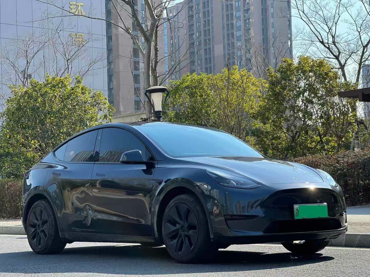 特斯拉 Model Y  2024款 Performance高性能版圖片