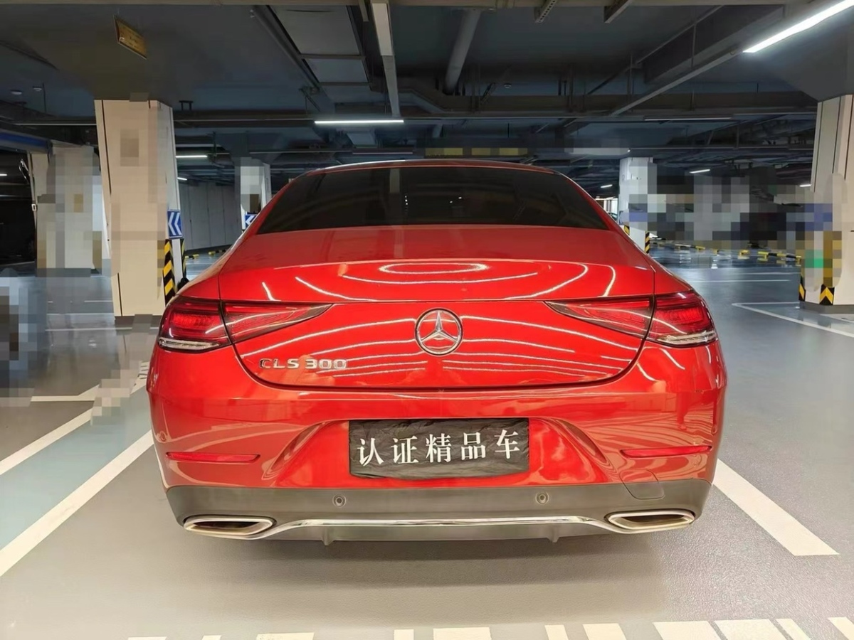 2019年7月奔馳 奔馳CLS級(jí)  2018款 CLS 300 豪華型