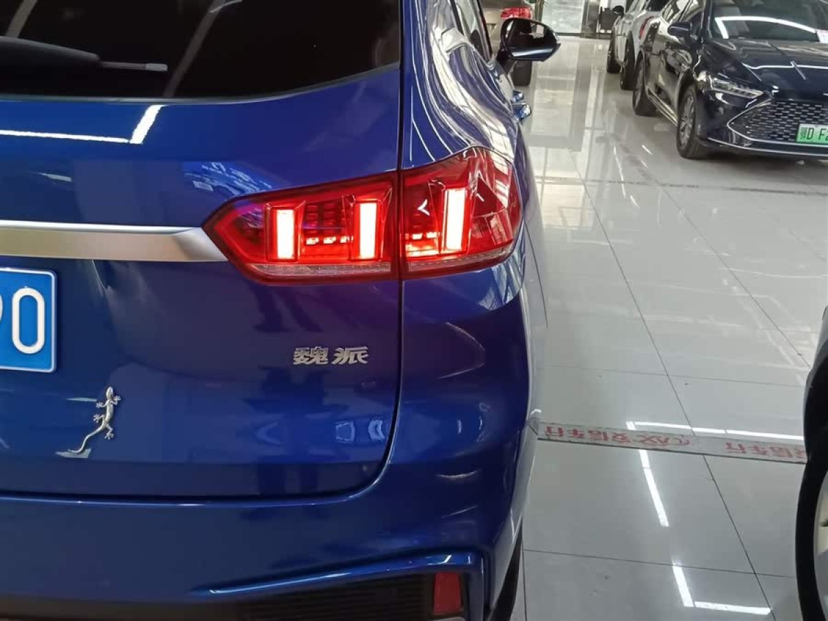 WEY VV5  2020款 1.5T 兩驅(qū)顏先鋒圖片