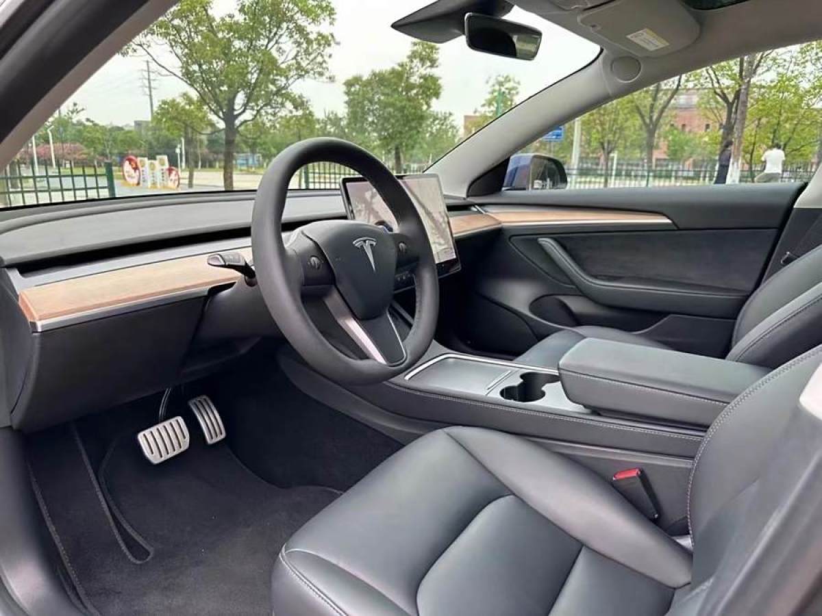 特斯拉 Model 3  2019款 Performance高性能全輪驅(qū)動版圖片